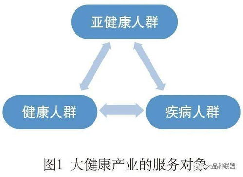 健康咨詢服務(wù) 我國(guó)大健康產(chǎn)業(yè)的關(guān)鍵環(huán)節(jié)與發(fā)展路徑